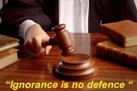 Gevangenisstraffen en boetes voor schippers en uitbaters van boten .